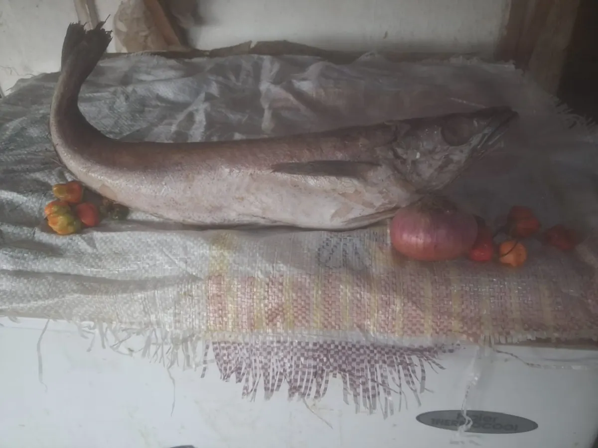 Hake 10KG — Fish from FreshMarket