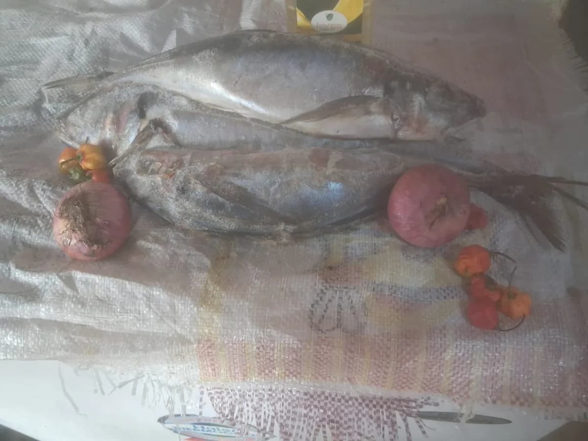 Kote 20KG (5-9) — Fish from FreshMarket