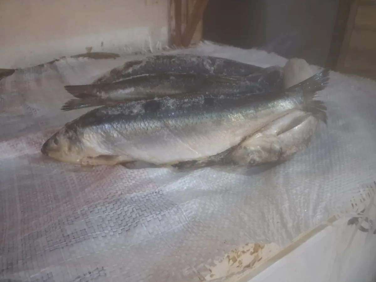 Shawa — Fish from FreshMarket