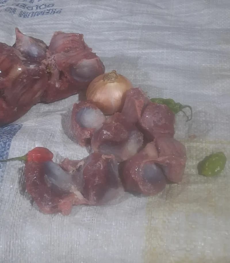 Turkey Gizzard — Turkey from FreshMarket